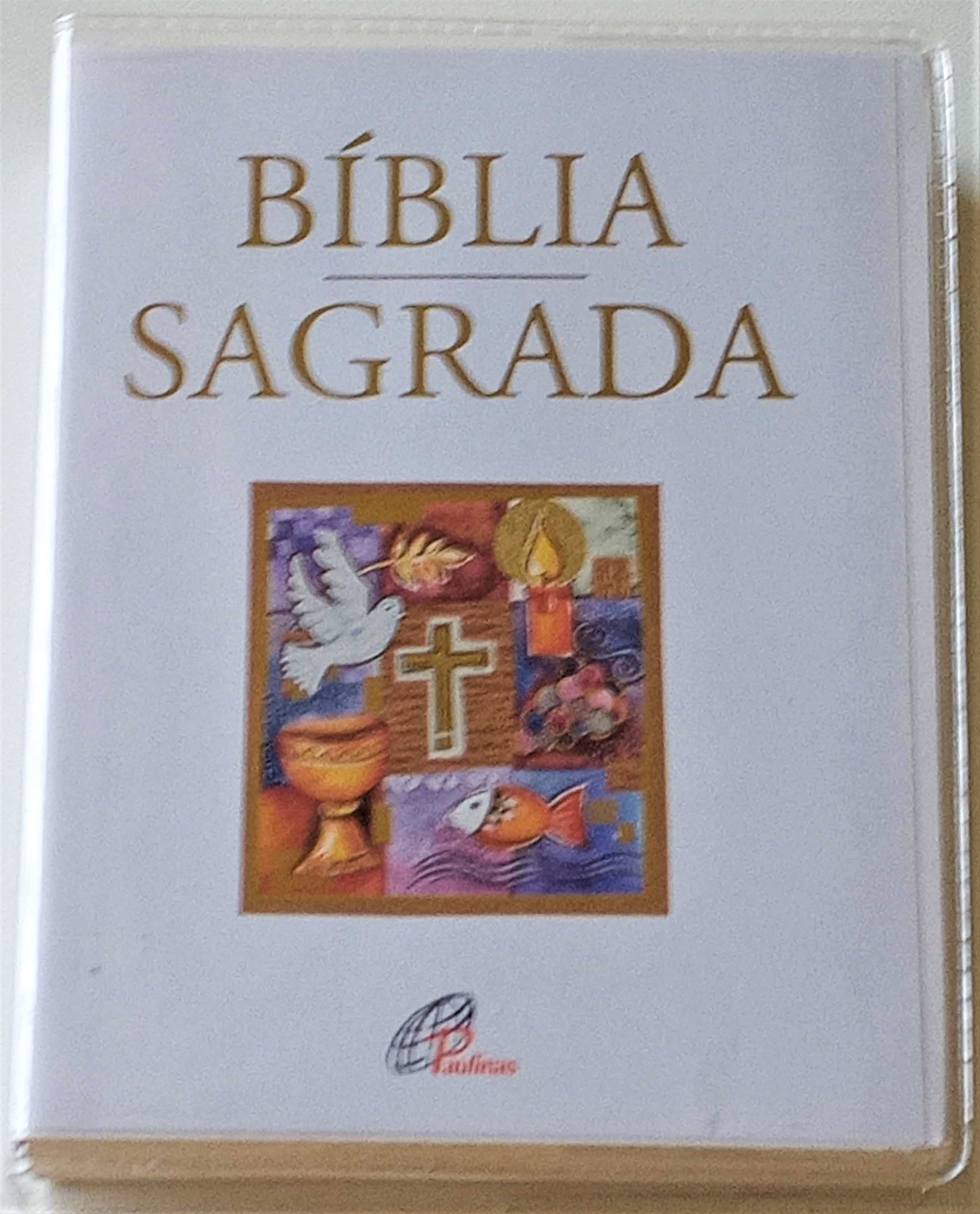 Biblia Sagradaova Traducao na Liguagem de Hoje LIKE NEW Portfolio design