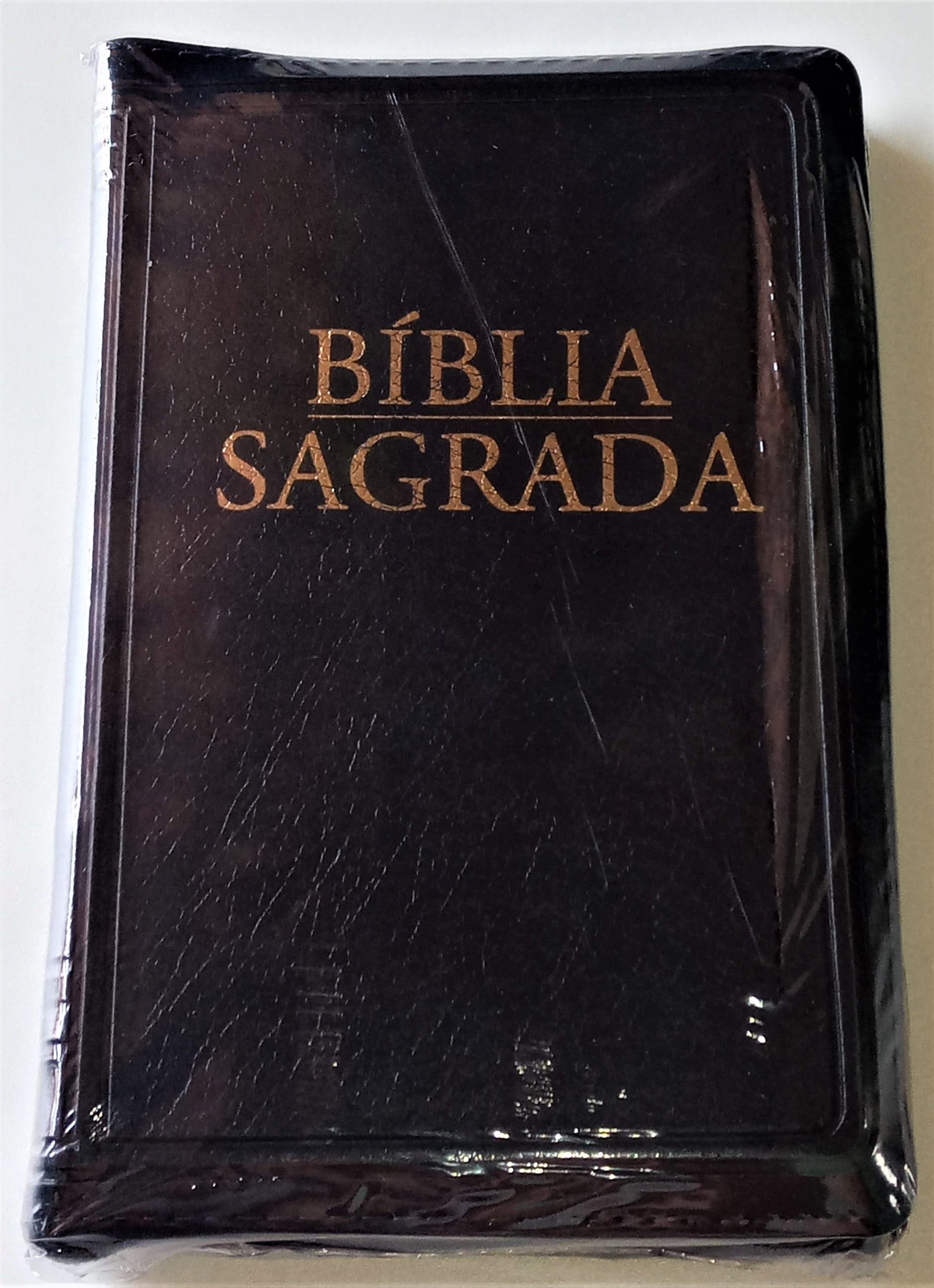 Biblia Sagradaova Traducao na Liguagem de Hoje LIKE NEW Portfolio design