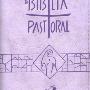 nova biblia pastoral ziper lilas