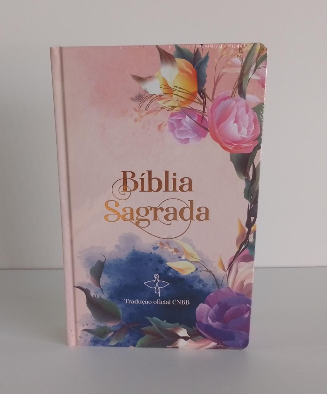 Bíblia Sagrada Tradução Oficial Da CNBB - Letra Grande - 6ª Edição ...