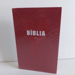 Bíblia Jovem - Youcat - Capa Luxo